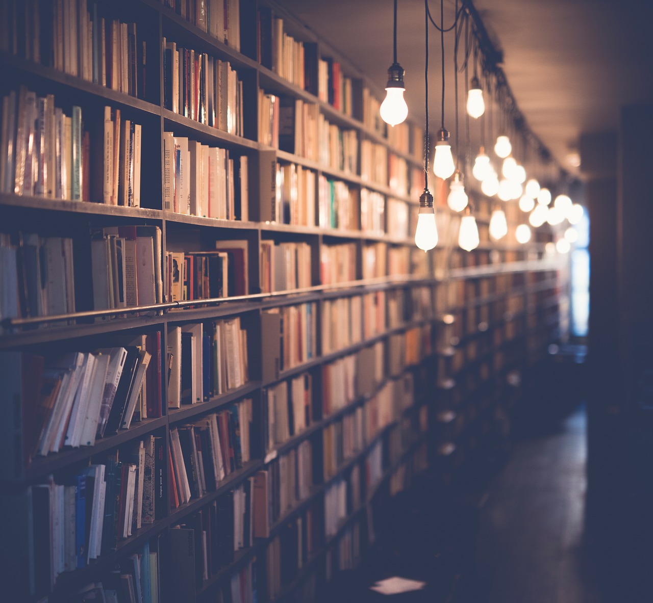 Biblioteka z książkami